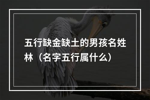 五行缺金缺土的男孩名姓林（名字五行属什么）