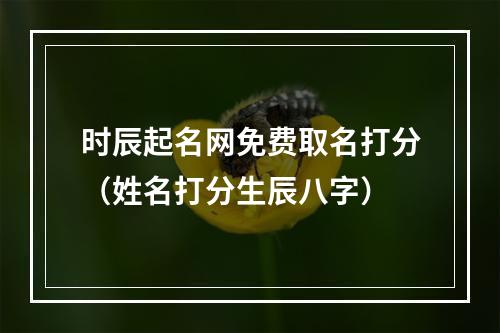 时辰起名网免费取名打分（姓名打分生辰八字）