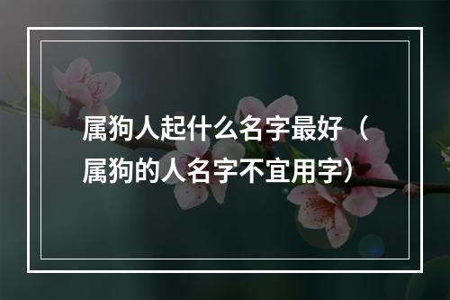 属狗人起什么名字最好（属狗的人名字不宜用字）