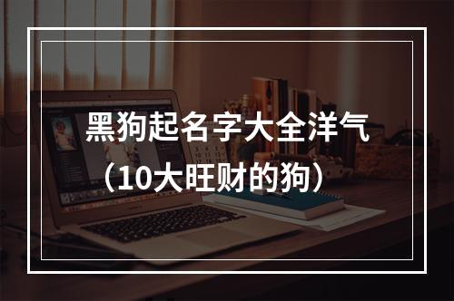 黑狗起名字大全洋气（10大旺财的狗）