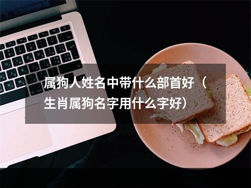 属狗人姓名中带什么部首好（生肖属狗名字用什么字好）