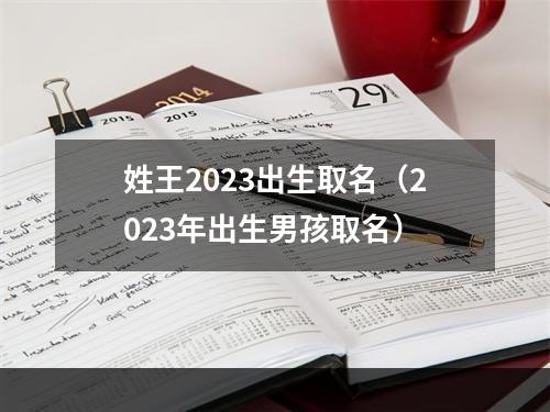 姓王2023出生取名（2023年出生男孩取名）