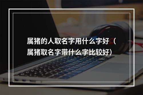 属猪的人取名字用什么字好（属猪取名字带什么字比较好）