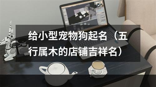 给小型宠物狗起名（五行属木的店铺吉祥名）