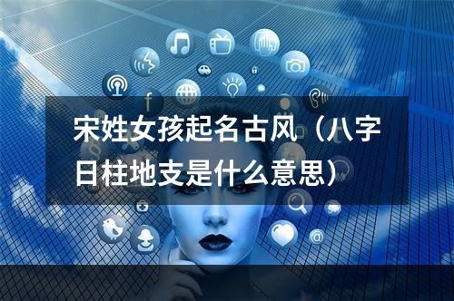 宋姓女孩起名古风（八字日柱地支是什么意思）