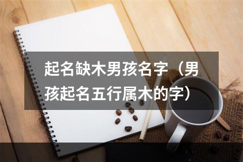 起名缺木男孩名字（男孩起名五行属木的字）