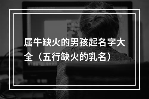 属牛缺火的男孩起名字大全（五行缺火的乳名）