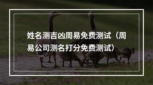 姓名测吉凶周易免费测试（周易公司测名打分免费测试）