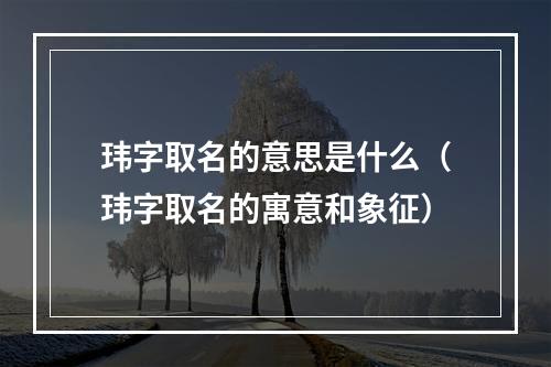 玮字取名的意思是什么（玮字取名的寓意和象征）