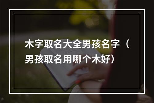 木字取名大全男孩名字（男孩取名用哪个木好）