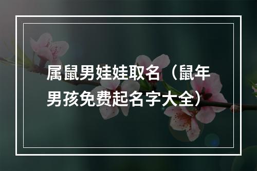 属鼠男娃娃取名（鼠年男孩免费起名字大全）