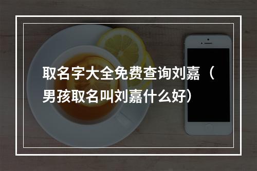取名字大全免费查询刘嘉（男孩取名叫刘嘉什么好）
