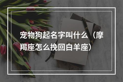 宠物狗起名字叫什么（摩羯座怎么挽回白羊座）