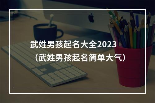 武姓男孩起名大全2023（武姓男孩起名简单大气）