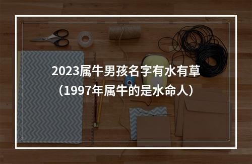 2023属牛男孩名字有水有草（1997年属牛的是水命人）