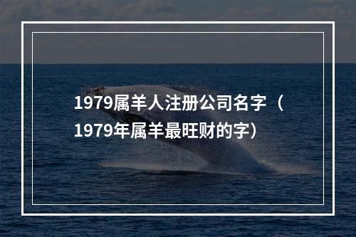 1979属羊人注册公司名字（1979年属羊最旺财的字）