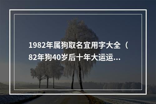 1982年属狗取名宜用字大全（82年狗40岁后十年大运运程）