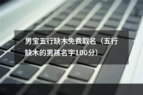 男宝五行缺木免费取名（五行缺木的男孩名字100分）