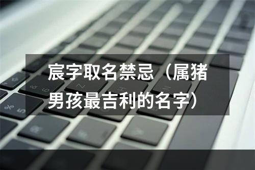 宸字取名禁忌（属猪男孩最吉利的名字）