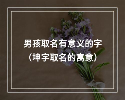 男孩取名有意义的字（坤字取名的寓意）