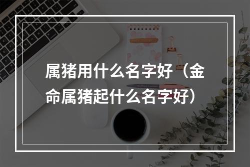 属猪用什么名字好（金命属猪起什么名字好）