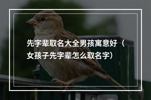 先字辈取名大全男孩寓意好（女孩子先字辈怎么取名字）