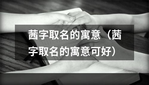 茜字取名的寓意（茜字取名的寓意可好）
