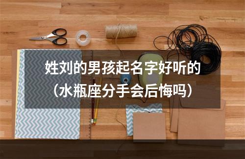 姓刘的男孩起名字好听的（水瓶座分手会后悔吗）