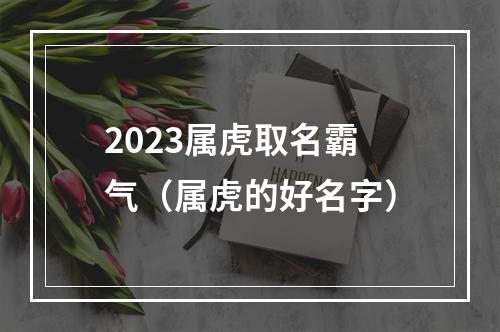 2023属虎取名霸气（属虎的好名字）
