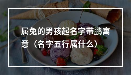 属兔的男孩起名字带鹏寓意（名字五行属什么）