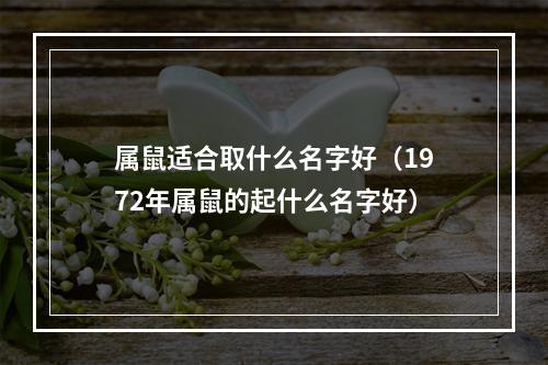属鼠适合取什么名字好（1972年属鼠的起什么名字好）