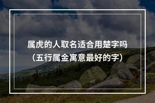 属虎的人取名适合用楚字吗（五行属金寓意最好的字）