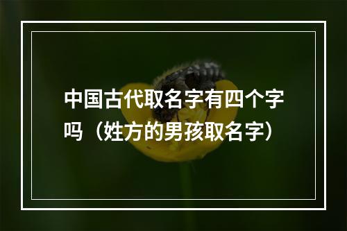中国古代取名字有四个字吗（姓方的男孩取名字）