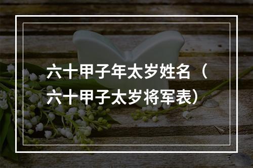 六十甲子年太岁姓名（六十甲子太岁将军表）