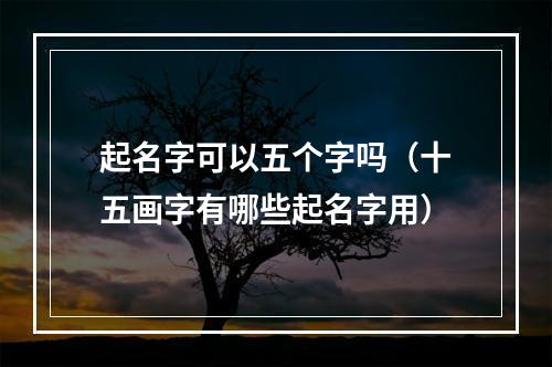 起名字可以五个字吗（十五画字有哪些起名字用）