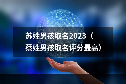 苏姓男孩取名2023（蔡姓男孩取名评分最高）