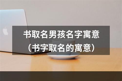 书取名男孩名字寓意（书字取名的寓意）