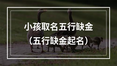 小孩取名五行缺金（五行缺金起名）