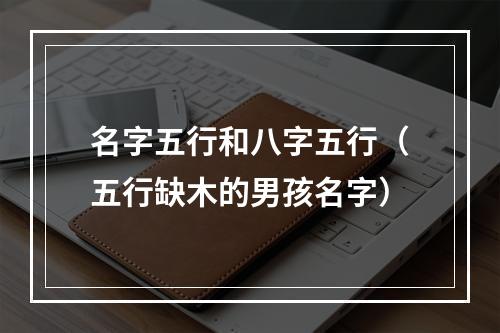 名字五行和八字五行（五行缺木的男孩名字）