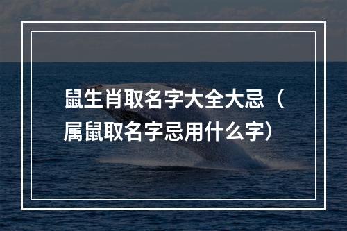 鼠生肖取名字大全大忌（属鼠取名字忌用什么字）