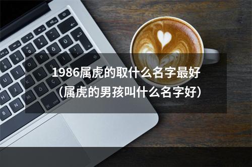 1986属虎的取什么名字最好（属虎的男孩叫什么名字好）