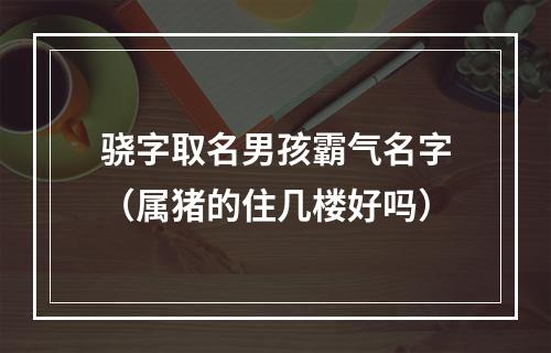 骁字取名男孩霸气名字（属猪的住几楼好吗）