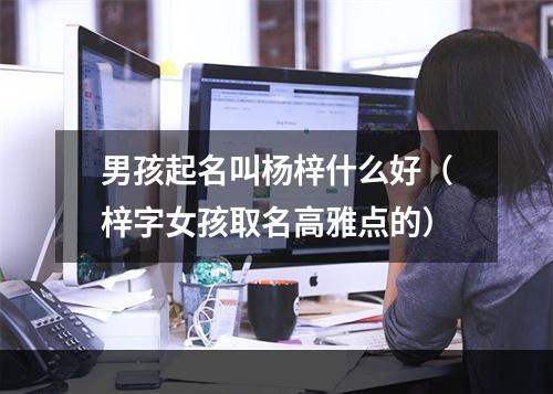 男孩起名叫杨梓什么好（梓字女孩取名高雅点的）