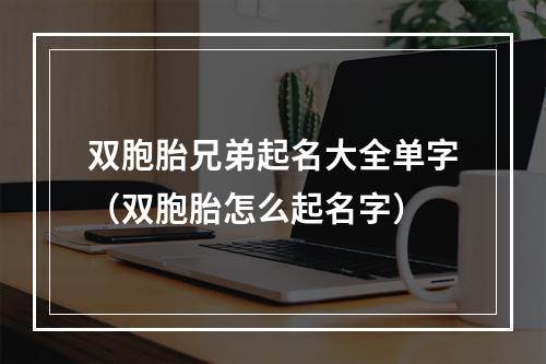 双胞胎兄弟起名大全单字（双胞胎怎么起名字）