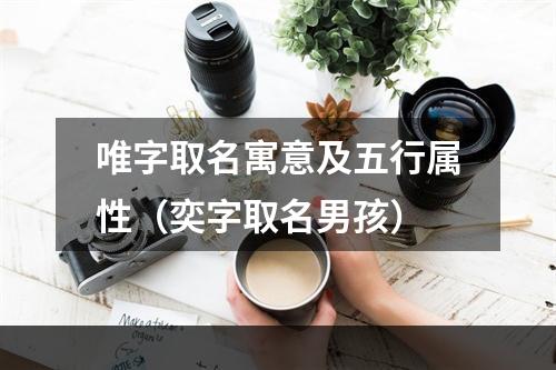 唯字取名寓意及五行属性（奕字取名男孩）