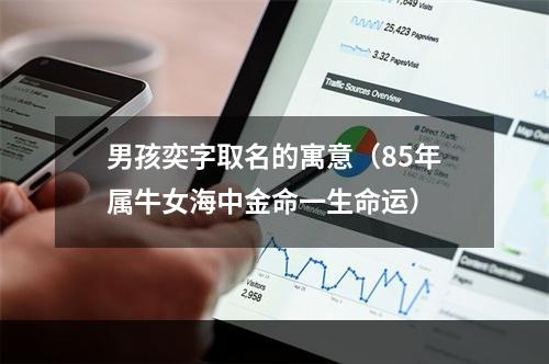 男孩奕字取名的寓意（85年属牛女海中金命一生命运）