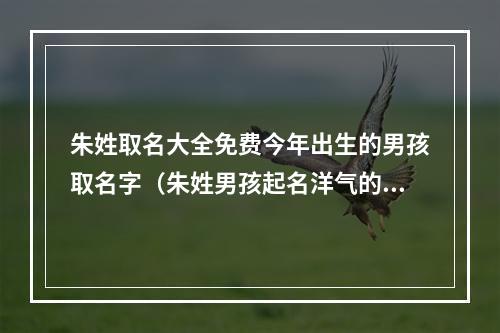 朱姓取名大全免费今年出生的男孩取名字（朱姓男孩起名洋气的）