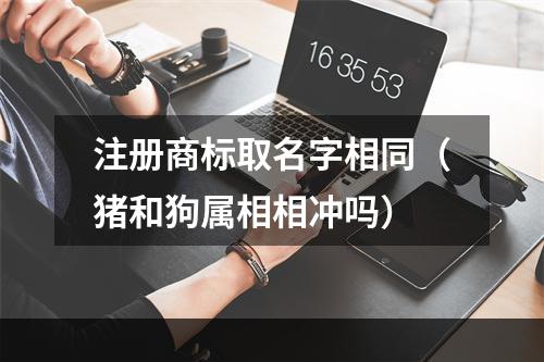 注册商标取名字相同（猪和狗属相相冲吗）