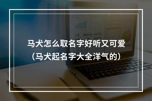 马犬怎么取名字好听又可爱（马犬起名字大全洋气的）