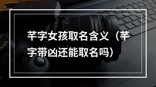 芊字女孩取名含义（芊字带凶还能取名吗）